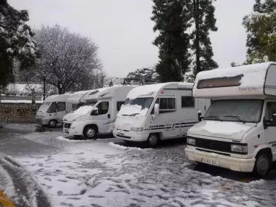 A MITORTUGA.ES LE GUSTA EL AREA I DE CABRA